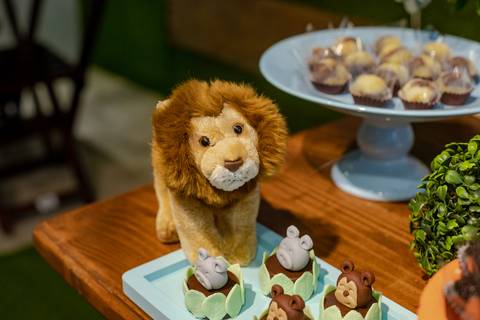 Decoração festa infantil tema Safari em Espaço quebra nozes-Copacabana/RJ'