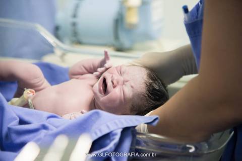 fotografia-de-nascimentos-parto-porto-velho-pvh-ro-hospital-9-de-julho-fotografa-greyce-lene-2019 cesariana'