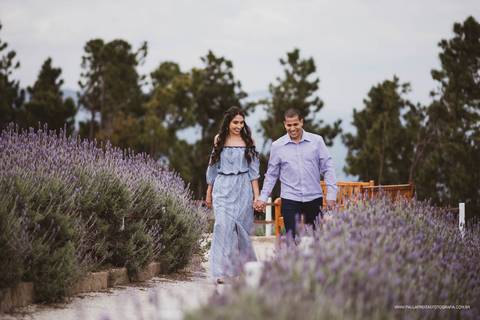 Fotos de casal em plantação de lavanda '