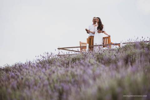 Fotos de casal com plantação de lavanda '