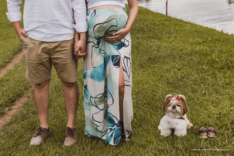 Ensaio gestante com cachorro '