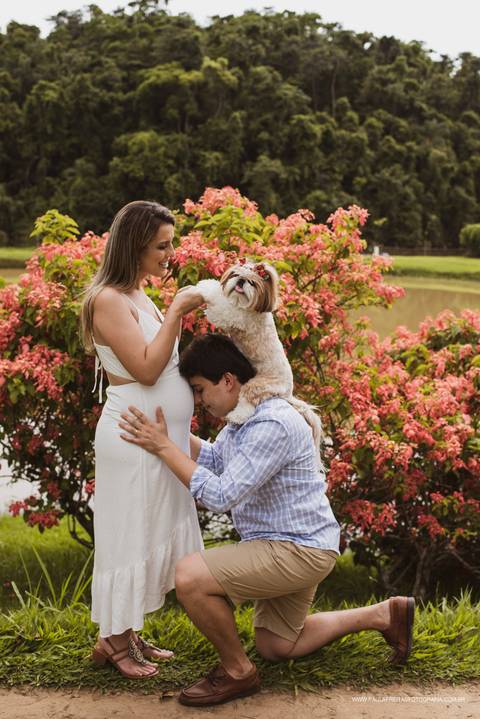 Ensaio gestante com o cachorro
'