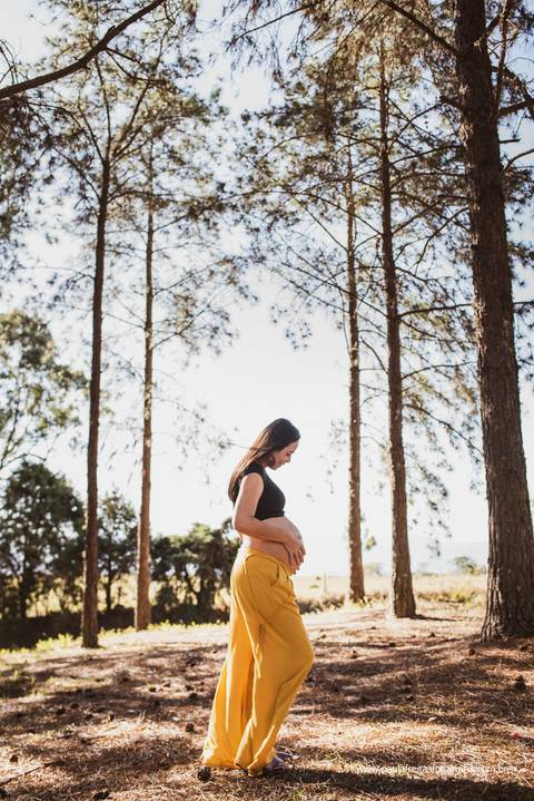 inspiração de foto de gestante'