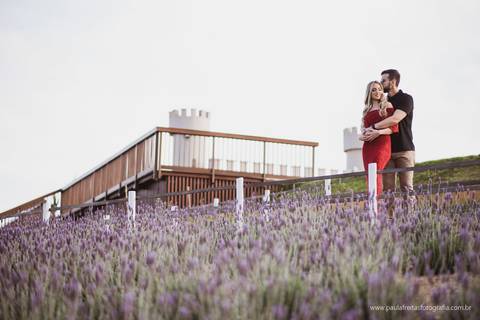foto de casal com lavandas em campos do jordao sp'