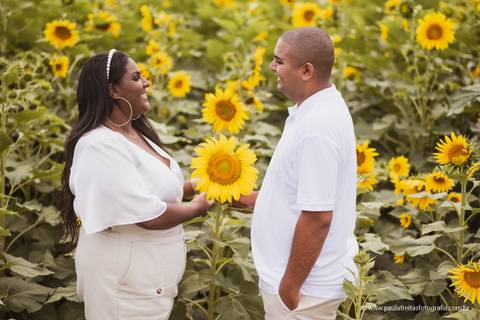 ensaio pre casamento com girassóis em holambra sp'