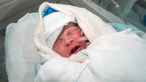 Porque me tiraram daquele lugarzinho quentinho.'