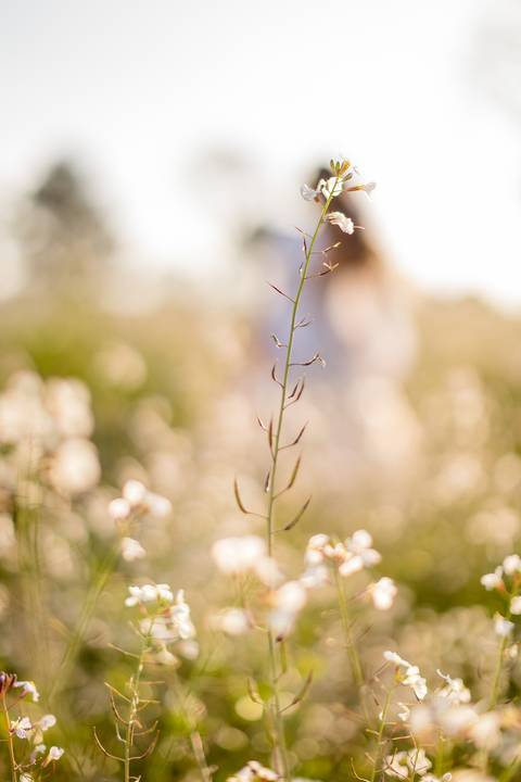 Manuela Flores Dalla Corte - Ensaio Quinze anos - Ester e Micael Foto - Ensaio de Debutante Campos - Ensaio Fotografico Santa Cruz do Sul'