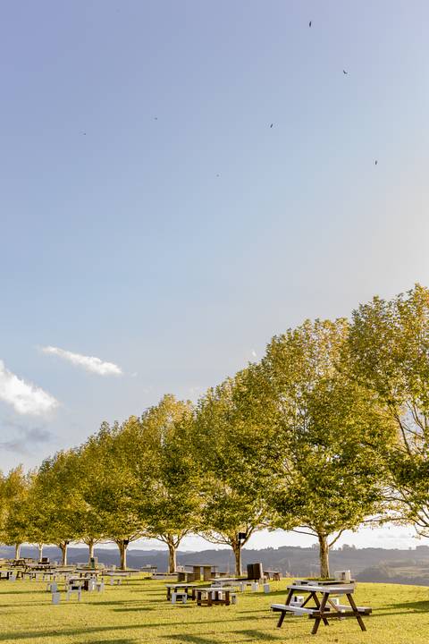 Mariana Hermes - Ensaio Pre quinze anos - Ester e Micael Foto - Flores Da Cunha '