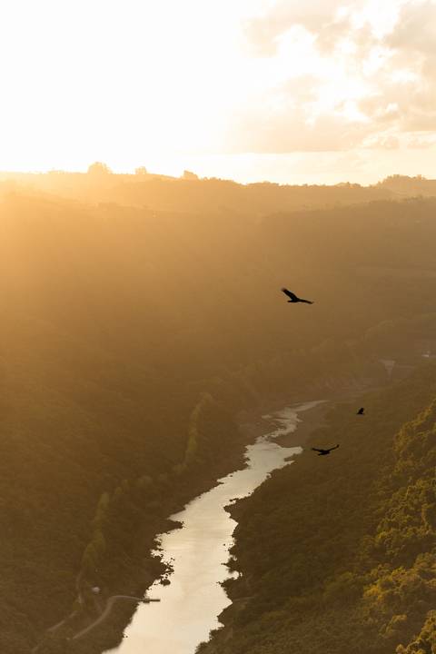 Mariana Hermes - Ensaio Pre quinze anos - Ester e Micael Foto - Flores Da Cunha '