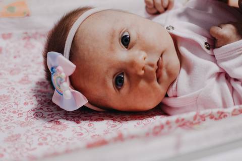 Ensaio Gestante; Mãe de Menina; Fotografia gestante; Fotografia gestante São Leopoldo; Fotografia gestante; Fotografia de família; São Leopoldo; Fotografia com animais; Ensaio de família; Gravidez; Grêmio;'