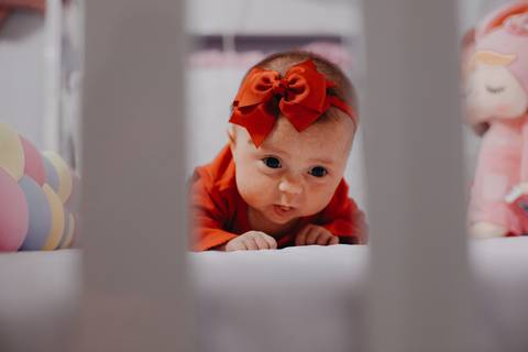 Ensaio Gestante; Mãe de Menina; Fotografia gestante; Fotografia gestante São Leopoldo; Fotografia gestante; Fotografia de família; São Leopoldo; Fotografia com animais; Ensaio de família; Gravidez; Grêmio;'