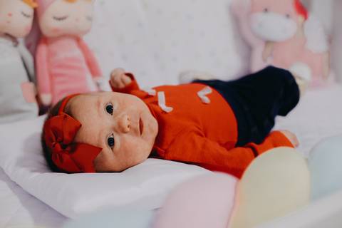 Ensaio Gestante; Mãe de Menina; Fotografia gestante; Fotografia gestante São Leopoldo; Fotografia gestante; Fotografia de família; São Leopoldo; Fotografia com animais; Ensaio de família; Gravidez; Grêmio;'