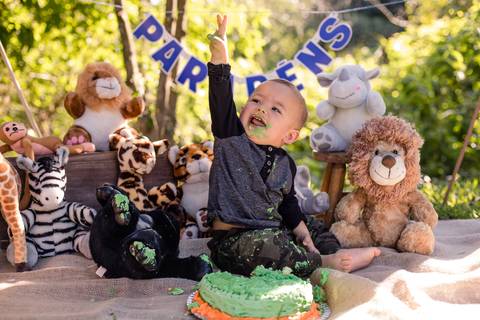 Aquarelando; Fotografia Infantil; Fotografo de criança; Fotografia infantil são leopoldo; Fotografia infantil novo hamburgo; Fotografia de Família; Fotografo de familia são leopoldo; Bruna Fonseca; Bruna Fonseca Photography; Smash the cake;'
