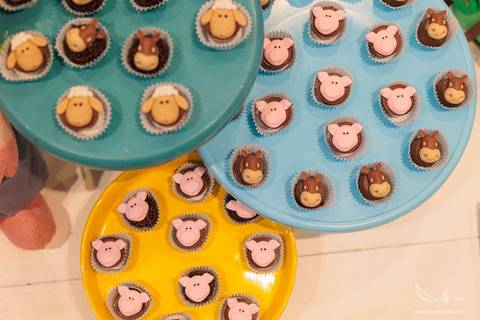 Aniversário infantil; Mig Eventos; Aniversário de criança; Fotografia infantil; Fotografia de família; São Leopoldo;  Casa de festa de são leopoldo; Fotografo infantil são leopoldo; Festança Kids; Fotografo de Canoas; Festejar; ForKids;'