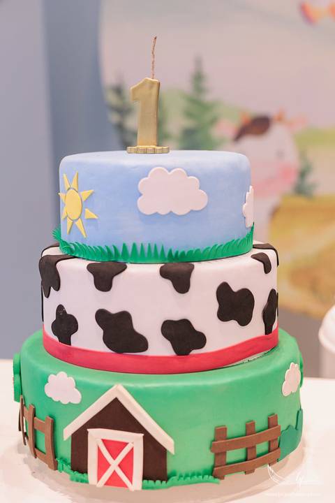 Aniversário infantil; Mig Eventos; Aniversário de criança; Fotografia infantil; Fotografia de família; São Leopoldo;  Casa de festa de são leopoldo; Fotografo infantil são leopoldo; Festança Kids; Fotografo de Canoas; Festejar; ForKids;Aniversário infanti'