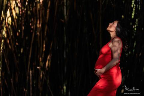 Ensaio Gestante; Mãe de Menina; Fotografia gestante; Fotografia gestante São Leopoldo; Fotografia gestante; Fotografia de família; São Leopoldo; Fotografia com animais; Ensaio de família; Gravidez;'