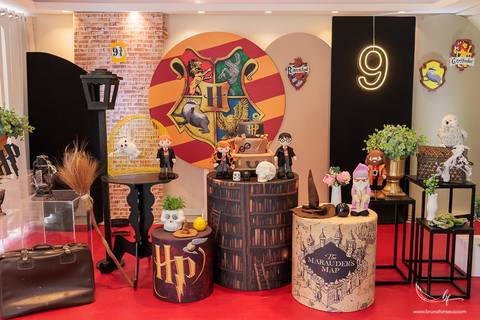 Aniversário infantil; Mig Eventos; Aniversário de criança; Fotografia infantil; Fotografia de família; São Leopoldo;  Casa de festa de são leopoldo; Fotografo infantil são leopoldo; Festança Kids; Fotografo de Canoas; Festejar; ForKids;'