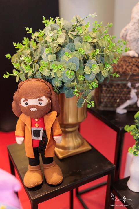 Aniversário infantil; Mig Eventos; Aniversário de criança; Fotografia infantil; Fotografia de família; São Leopoldo;  Casa de festa de são leopoldo; Fotografo infantil são leopoldo; Festança Kids; Fotografo de Canoas; Festejar; ForKids;'