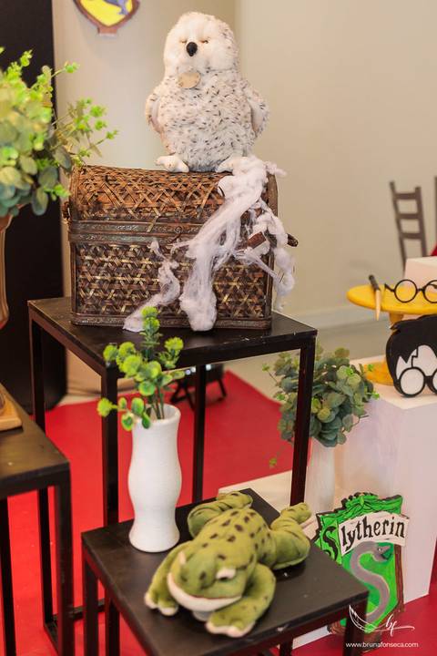 Aniversário infantil; Mig Eventos; Aniversário de criança; Fotografia infantil; Fotografia de família; São Leopoldo;  Casa de festa de são leopoldo; Fotografo infantil são leopoldo; Festança Kids; Fotografo de Canoas; Festejar; ForKids;'