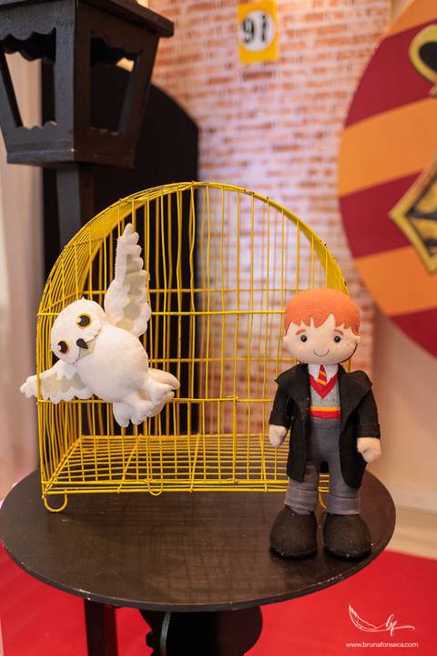 Aniversário infantil; Mig Eventos; Aniversário de criança; Fotografia infantil; Fotografia de família; São Leopoldo;  Casa de festa de são leopoldo; Fotografo infantil são leopoldo; Festança Kids; Fotografo de Canoas; Festejar; ForKids;'