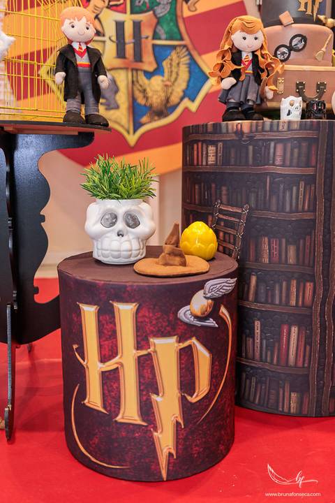 Aniversário infantil; Mig Eventos; Aniversário de criança; Fotografia infantil; Fotografia de família; São Leopoldo;  Casa de festa de são leopoldo; Fotografo infantil são leopoldo; Festança Kids; Fotografo de Canoas; Festejar; ForKids;'