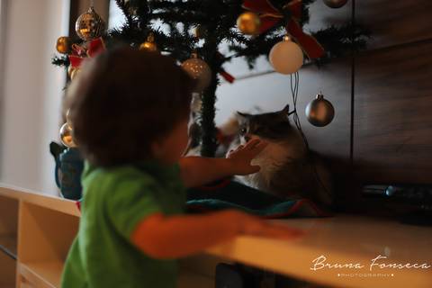 Aquarelando; Fotografia Infantil; Fotografo de criança; Fotografia infantil são leopoldo; Fotografia infantil novo hamburgo; Fotografia infantil belo horizonte;'