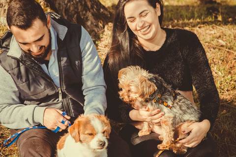 Ensaio Gestante; Mãe de Menina; Fotografia gestante; Fotografia gestante São Leopoldo; Fotografia gestante; Fotografia de família; São Leopoldo; Fotografia com animais; Ensaio de família; Gravidez; Grêmio;'