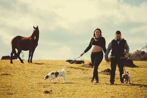 Ensaio Gestante; Mãe de Menina; Fotografia gestante; Fotografia gestante São Leopoldo; Fotografia gestante; Fotografia de família; São Leopoldo; Fotografia com animais; Ensaio de família; Gravidez; Grêmio;'