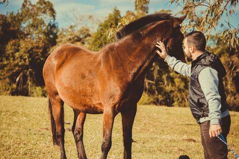 Ensaio Gestante; Mãe de Menina; Fotografia gestante; Fotografia gestante São Leopoldo; Fotografia gestante; Fotografia de família; São Leopoldo; Fotografia com animais; Ensaio de família; Gravidez; Grêmio;'