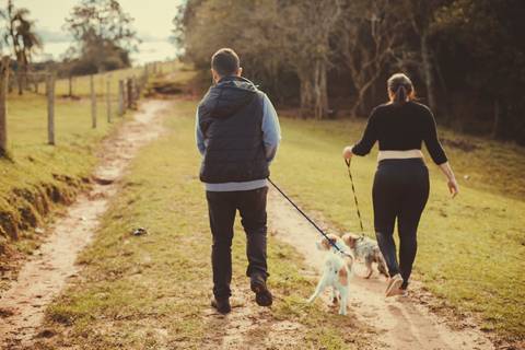 Ensaio Gestante; Mãe de Menina; Fotografia gestante; Fotografia gestante São Leopoldo; Fotografia gestante; Fotografia de família; São Leopoldo; Fotografia com animais; Ensaio de família; Gravidez; Grêmio;'