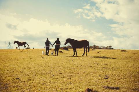 Ensaio Gestante; Mãe de Menina; Fotografia gestante; Fotografia gestante São Leopoldo; Fotografia gestante; Fotografia de família; São Leopoldo; Fotografia com animais; Ensaio de família; Gravidez; Grêmio;'