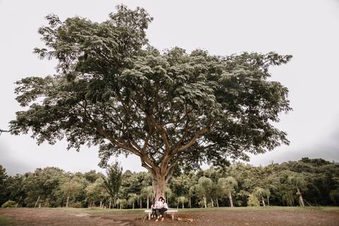 Aquarelando; Fotografia Infantil; Fotografo de criança; Fotografia infantil são leopoldo; Fotografia infantil novo hamburgo; Fotografia de Família; Fotografo de familia são leopoldo; Bruna Fonseca; Bruna Fonseca Photography;'