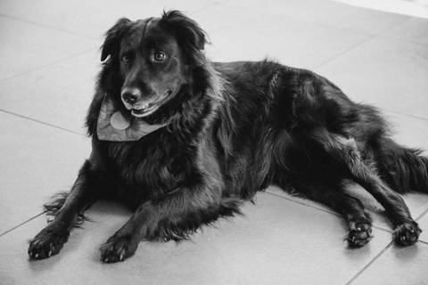 Maquiagem; Making of; Noiva; Noivo; Pré Wedding; Street Wedding; Celina Munhoz; Adriana Kruger; Manu Garcia; Camarim Madri; Wandering Wedding; São Francisco de Paula; Fotografia de Casal; Fotografia de Casamento; Pré Wedding; São Leopoldo; Belo Horizonte;'