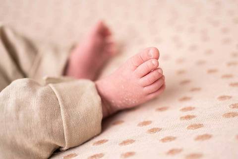 Ensaio Newborn Barueri do Miguel - Vanessa Durazzo Fotógrafa de Newborn, Gestante e Crianças'