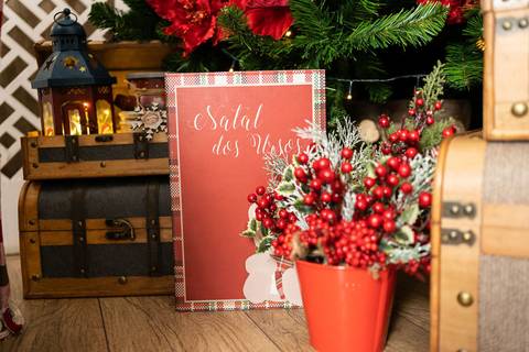 Ensaio de Natal - Vanessa Durazzo'