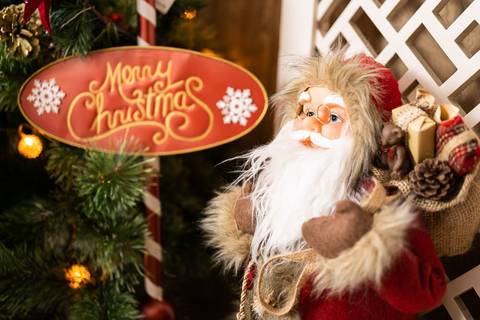 Ensaio de Natal - Vanessa Durazzo'