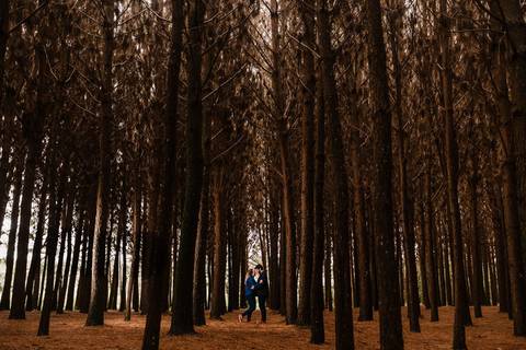 Ensaio de casal Floresta'