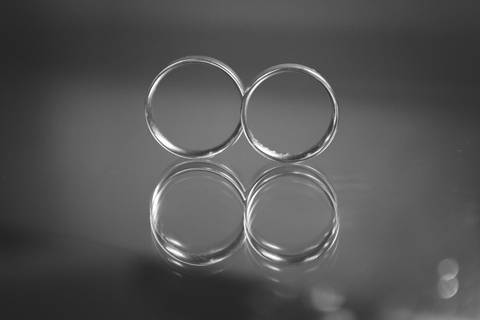 Alianças de casamento'