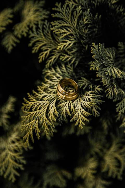 Aliança de Casamento'