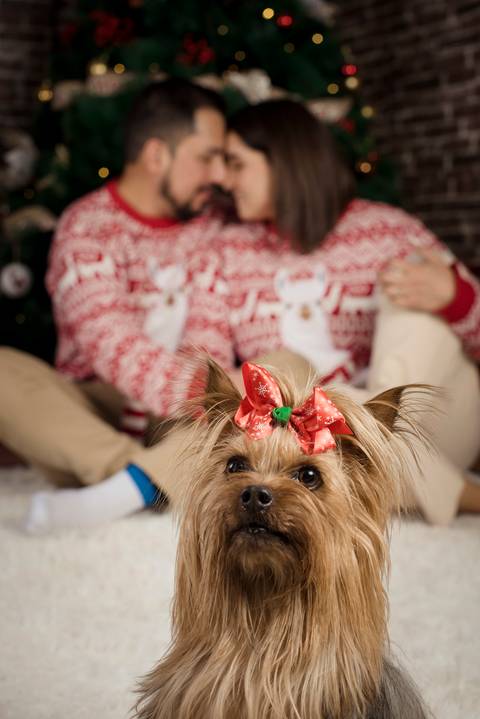 sesiones familiares la paz bolivia, fotografia familia, fotografo de familia la paz bolivia, sesiones navideñas, mini sesiones, navidad 2022'