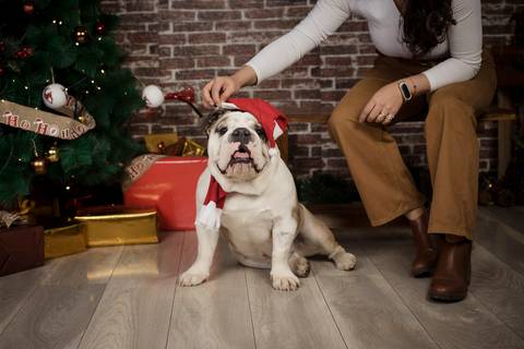 sesiones familiares la paz bolivia, fotografia familia, fotografo de familia la paz bolivia, sesiones navideñas, mini sesiones, navidad 2022'
