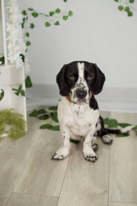 Fotografía de familia, fotografo de familias La Paz Bolivia, dia de la madre , mini sesiones '