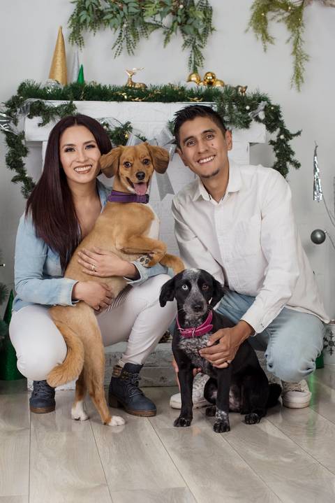 fotografía de navidad, fotografo de familias la paz bolivia, familia boliviana , navidad, mini sesiones navideñas, fotos navideñas'