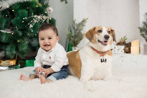 fotografía de navidad, fotografo de familias la paz bolivia, familia boliviana , navidad, mini sesiones navideñas, fotos navideñas'