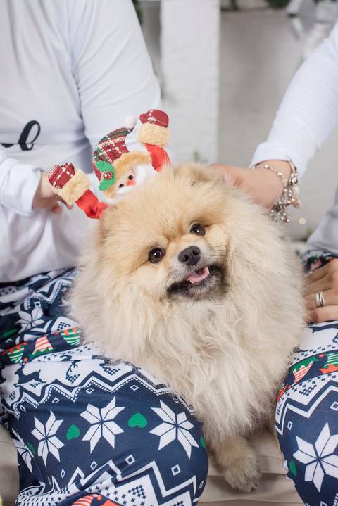 fotografía de navidad, fotografo de familias la paz bolivia, familia boliviana , navidad, mini sesiones navideñas, fotos navideñas'