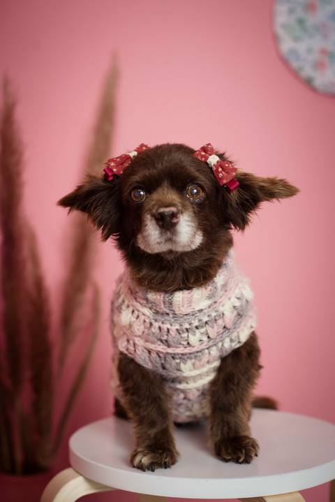 mini sesiones de fotografía, dia de la madre, sesiones familiares, fotografo de familias La Paz Bolivia , Pkl Fotografía '