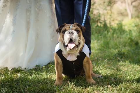 Boda de dia jardin La Paz Bolivia'