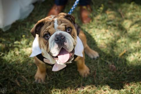 Boda de dia jardin La Paz Bolivia'
