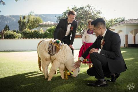 Novios Boda , Fotografia de bodas La Paz Bolivia Gay Wedding Hotel dm andino llama'
