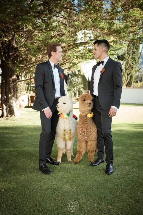 Novios Boda , Fotografia de bodas La Paz Bolivia Gay Wedding Hotel dm andino llama'